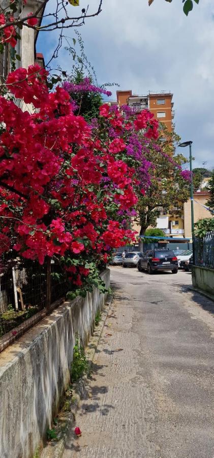 B&B Ciruzzo Napoli Eksteriør bilde